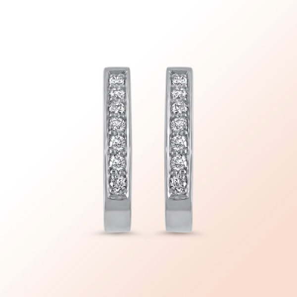 14k.w. Diamond Earrings