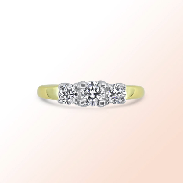 14k. 2 tone Diamond Ring